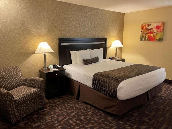 Best Western Plus Pleasanton Inn image 7